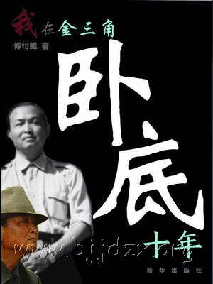 我在金三角卧底十年