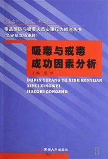吸毒与戒毒成功因素分析