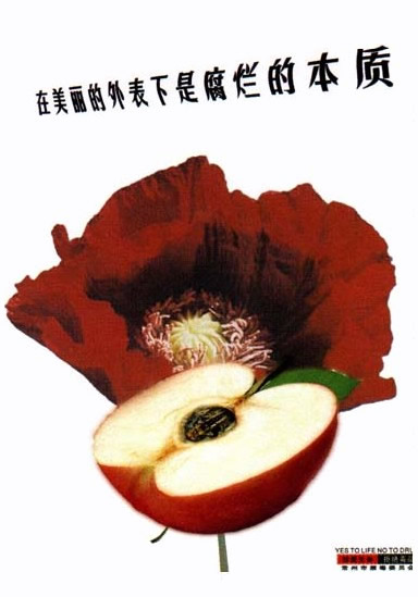 在美丽的外表下是腐烂的本质