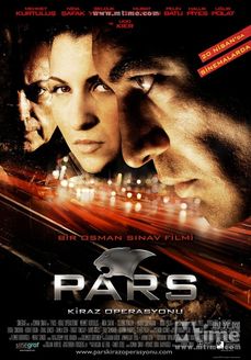 黑豹之彻丽行动